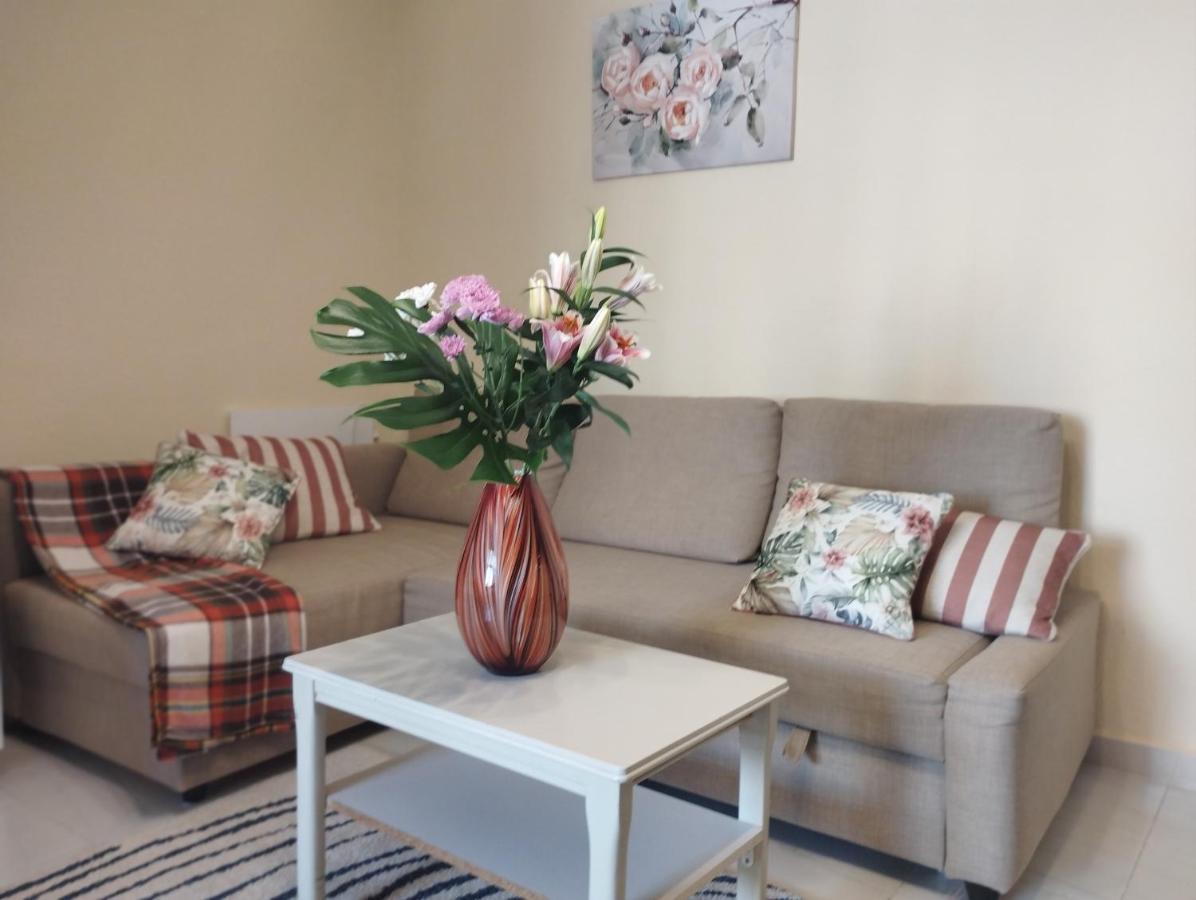 Spacious Apartment La Mata Pool&Beach Torrevieja Eksteriør bilde